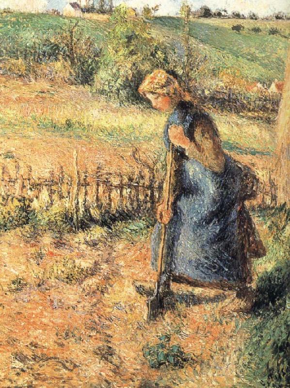 Camille Pissarro The collection of hay farmer oil painting image